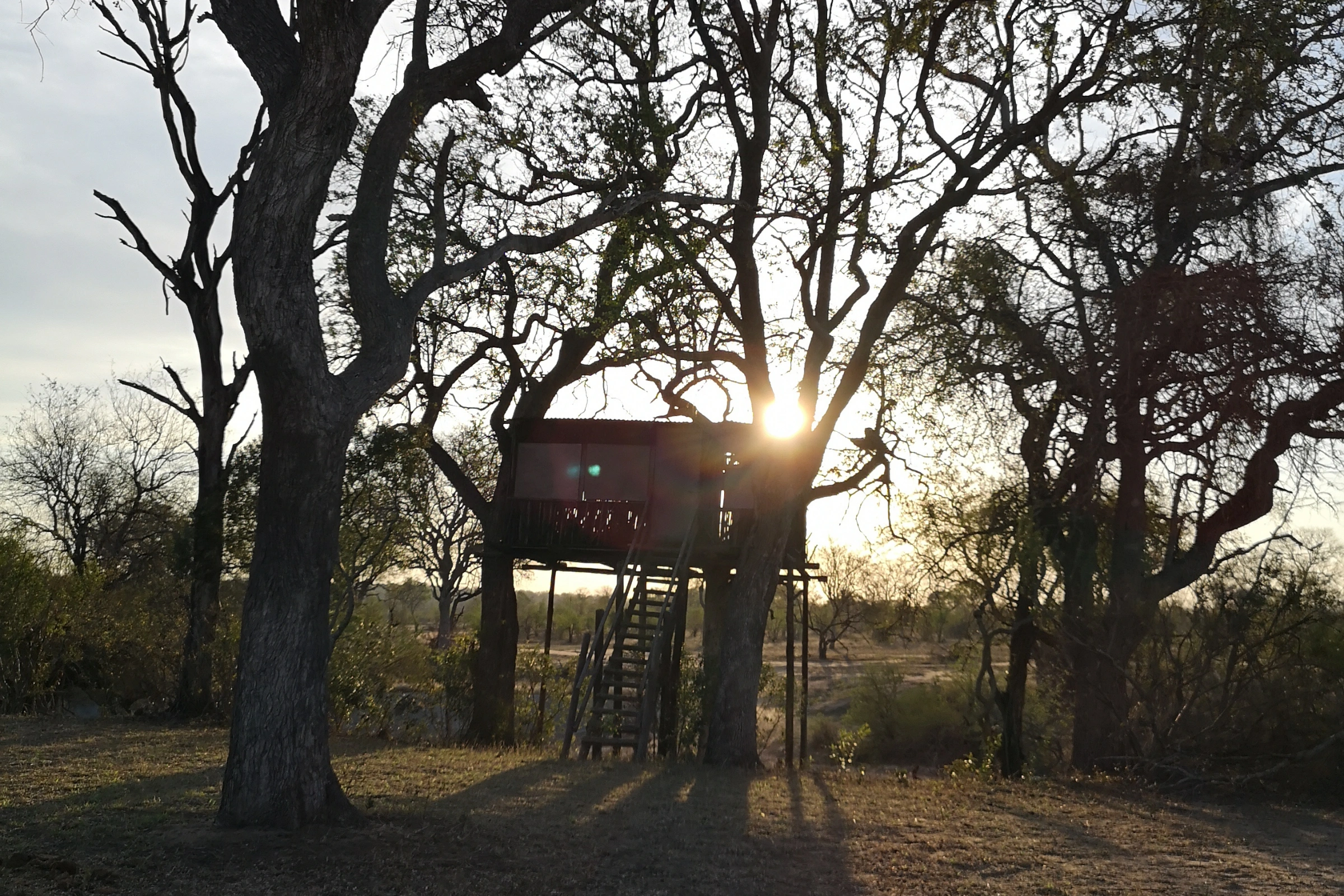 Sabi_Sand_Nature_Reserve[1].webp